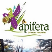 logo du site