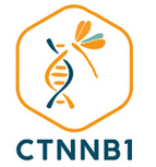logo du site