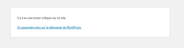 Copie d'écran: Erreur critique Wordpress