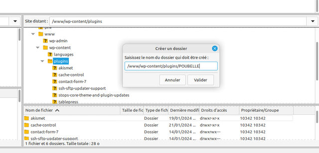 Copie d'écran de filezilla