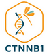 CTNNB1 - Trouble du neurodéveloppement