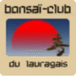 Bonsaï-Club du Lauragais