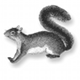 logo de l'article
