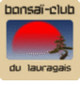 logo de l'article